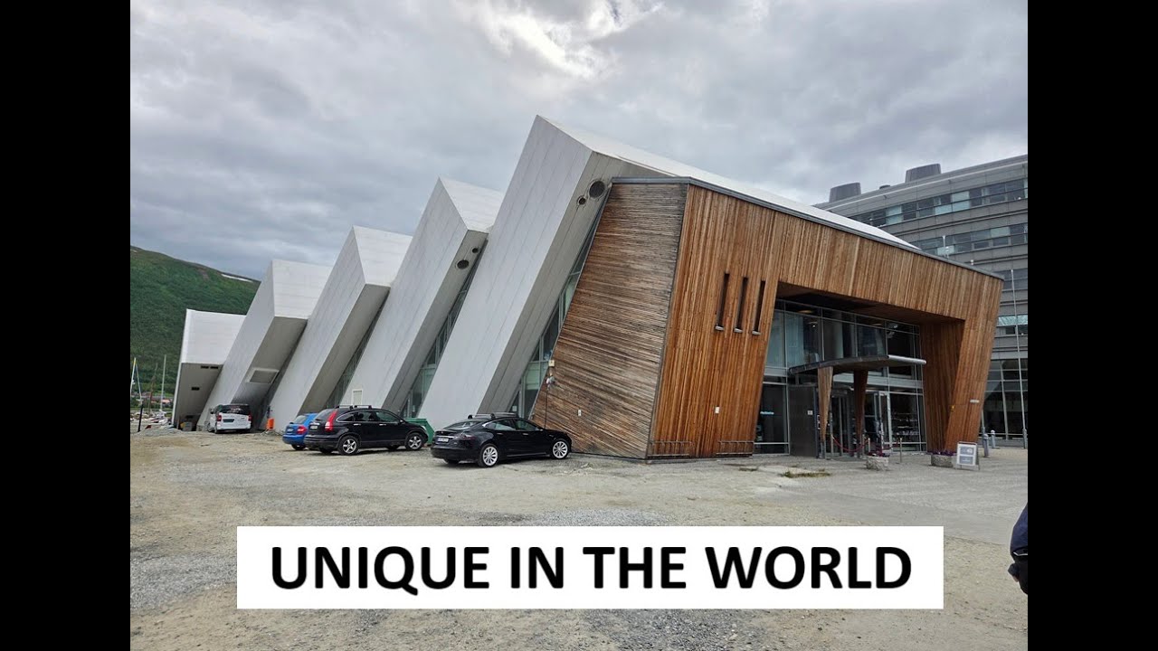 Tromsø Polaria, only place in the world where you can see this up close