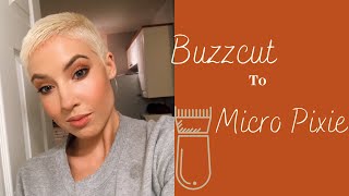 BUZZCUT TO MICRO PIXIE Everything I've done// Styling