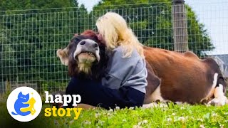 19 Years Old Blind Cow Who Finds Joy In Hugs