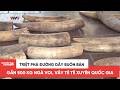 Triệt phá đường dây buôn bán gần 500kg ngà voi, vảy tê tê xuyên quốc gia