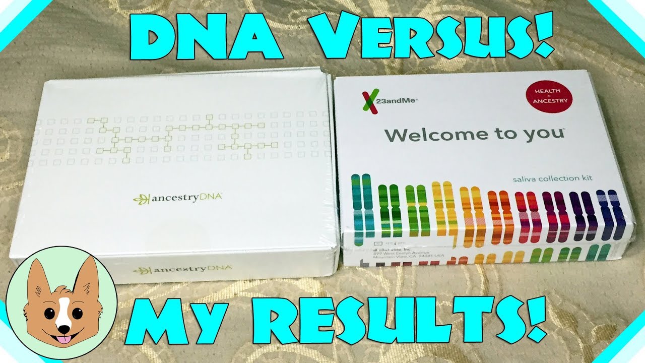 results comparison ancestrydna vs 23andme genetic dna tests