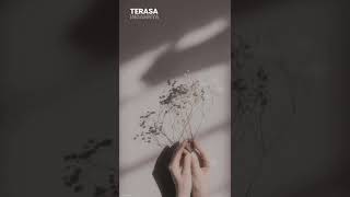 Denyut Jantungku Berdebar nuhabahrin casablanca viral shorts