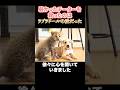 「チーターと犬が親友に!? 種を超えた奇跡の友情ストーリー