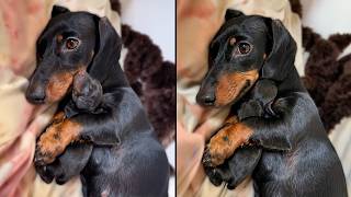 This New Mom Wouldn’t Let Go Of Her Newborn Baby