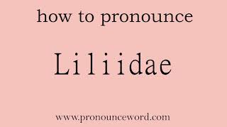 Liliidae. How to pronounce the english word Liliidae .Start with L. Learn from me.