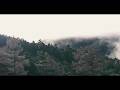 The mystery of the forest | Sony FX3