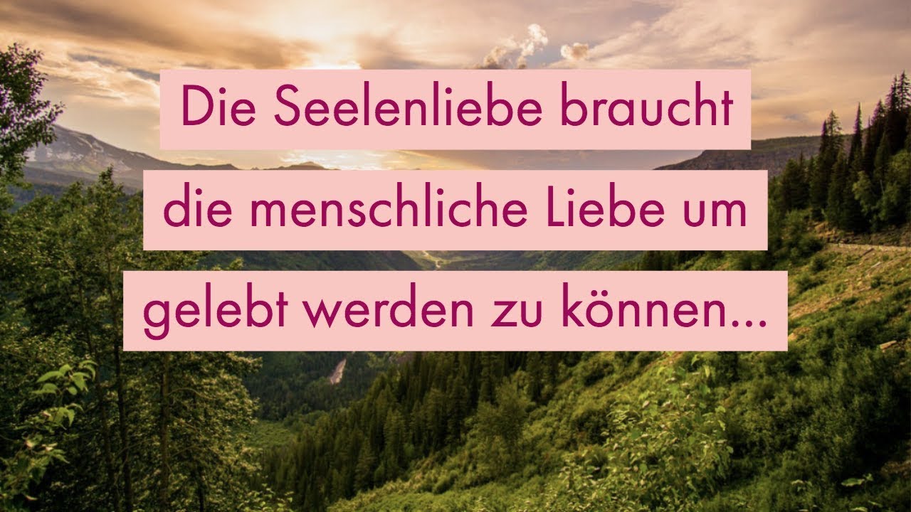 Download Zu koennen For Android Zu Koennen