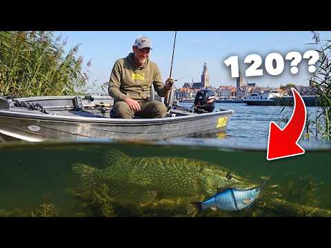 TROLLING FOR BIG PIKE ON A DUTCH RIVER!