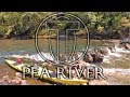 3- Day  Upper Pea River Kayak Camping