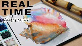 Watercolor Conch Seashell Step by Step Painting Tutorial for Beginners