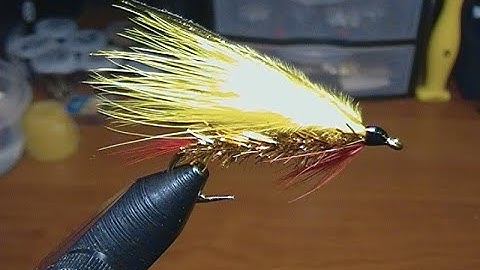 fly tying with hugh!  simple marabou streamer.