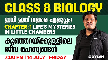 Class 8 Biology | Chapter 1 - Life