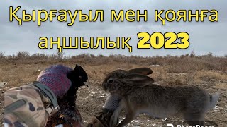 Қырғауыл мен қоянға аңшылық 2023. #қырғауыл #фазан #қоян #заяц #2023 #