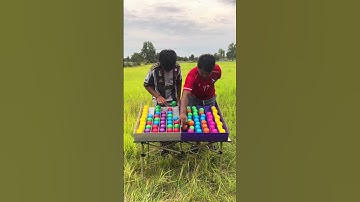 Puzzle sort ball game challenge with two Smarts player brother 👨🏻 Vs bro🧒🏻 👏🏻🏆