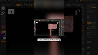 Как сдалать свою первую модель в Zbrush? Туториал #3d #tutorial #zbrush