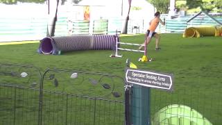 CPE Agility Wildcard Level 1 (1st run)