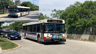 CTA 2008 & 2007 New Flyer D40LF 1691 on Route 21 Cermak & 1350 on Route 1 Bronzeville/Union Station