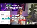 How to start a successful shopify dropshipping business for under 100 beginner friendly