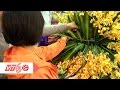Học nghề cắm hoa theo nhu cầu | VTC
