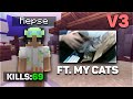 Bedwars with my cats v3 (handcam + cat)