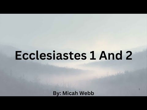 Video preview