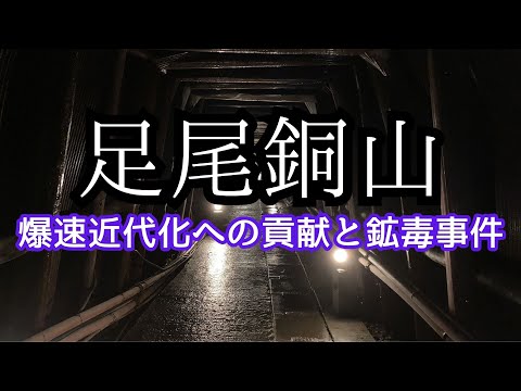 足尾銅山鉱毒事件関係資料 第13巻~第18巻 Amazon.co.jp: