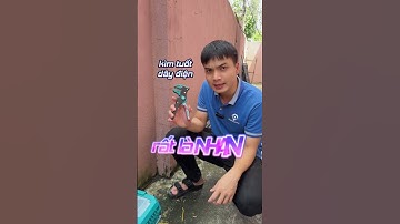 Kềm tuốt dây điện mỏ quạ Total THT15606, Đường kính đầu tuốt: 0.5mm~6mm, Bấm dây điện - Thinksafe