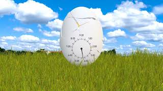 Funny Egg Timer 9 Minutes With Surprise At The End