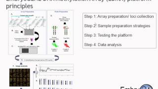 Celebrity EmbryoGENE Epigenetic Platform Net Worth