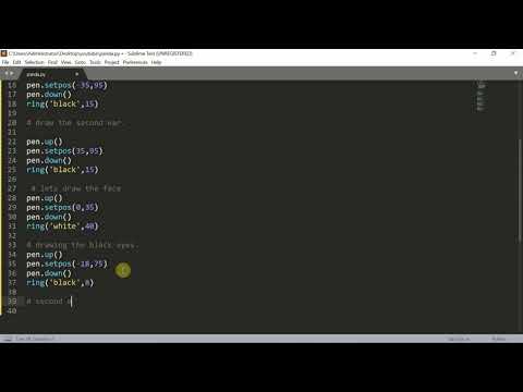 How to create a Cute Panda using Python and Turtle | Turtle tutorial in Python | CodeinPython