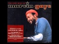Marvin Gaye - Where Are We Going? [Non-Compromised CD Quality]