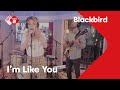 Blackbird - &#39;I&#39;m Like You&#39; live @ Jan-Willem Start Op!