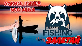 [СТРИМ] Русская Рыбалка 4 | Russian Fishing 4 | Фарм |