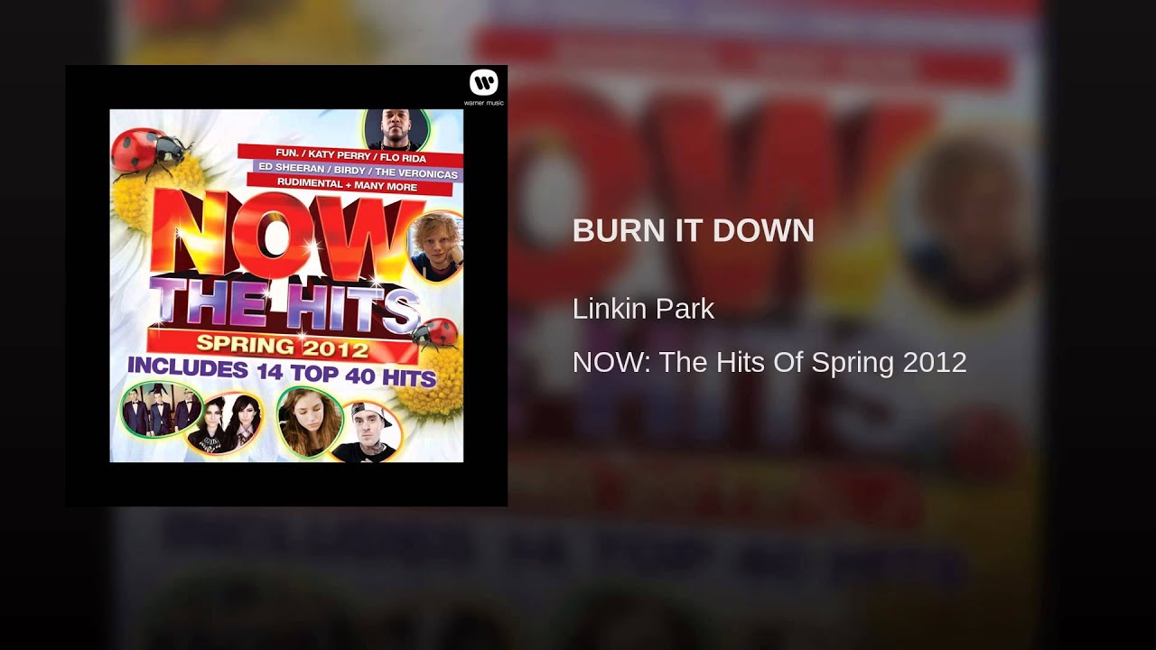 BURN IT DOWN