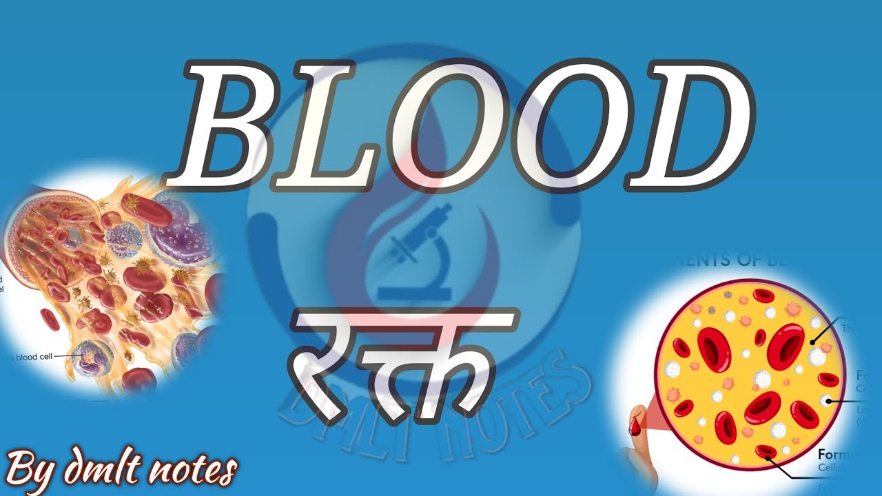 Introduction of blood 🩸 / what is a blood/blood kya h /blood kese bnta h ❓/ blood PH complete blood