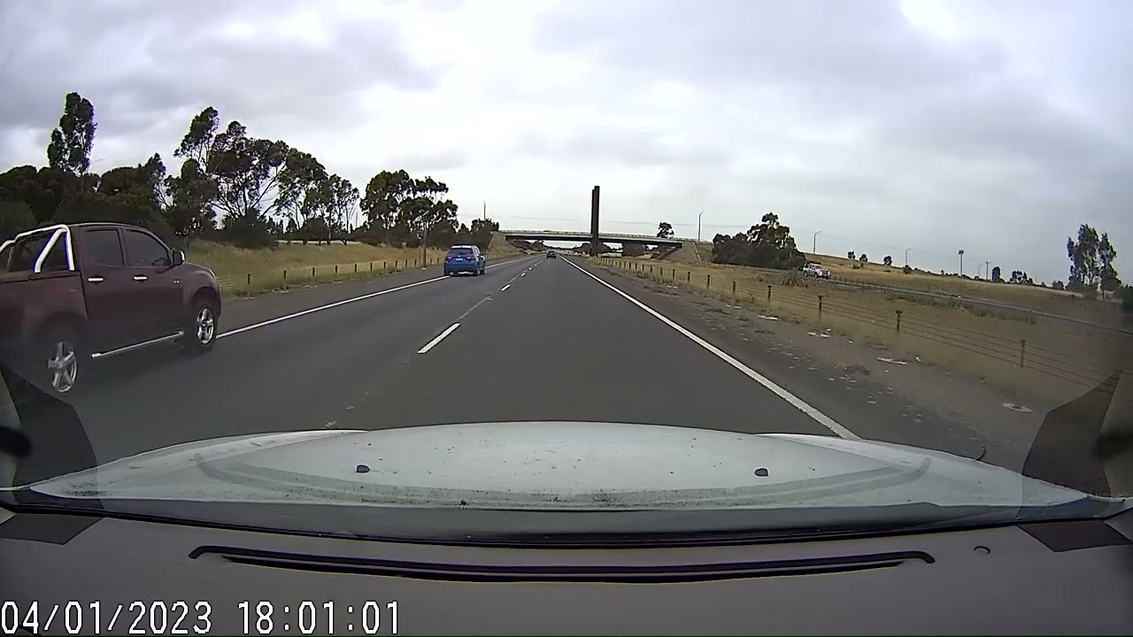 Ducks crossing on 110 kmh freeway.