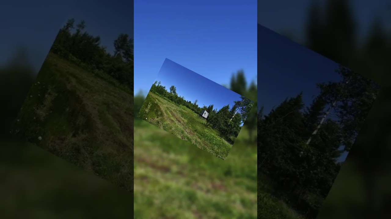 14437 Korhonen Road  Baraga, MI📍