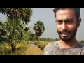            new bangla village life style vlogs