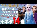 【アナと雪の女王】あなたが見逃したかもしれない過去2作の小ネタとトリビア14選解説【ディズニー/映画】