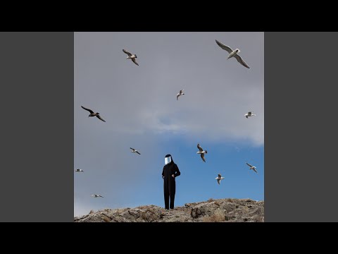 Hamerkop — Deadwood