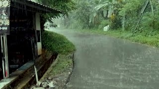 Rain in a beautiful and cool rural atmosphere in Central Java, Indonesia, suitable for living