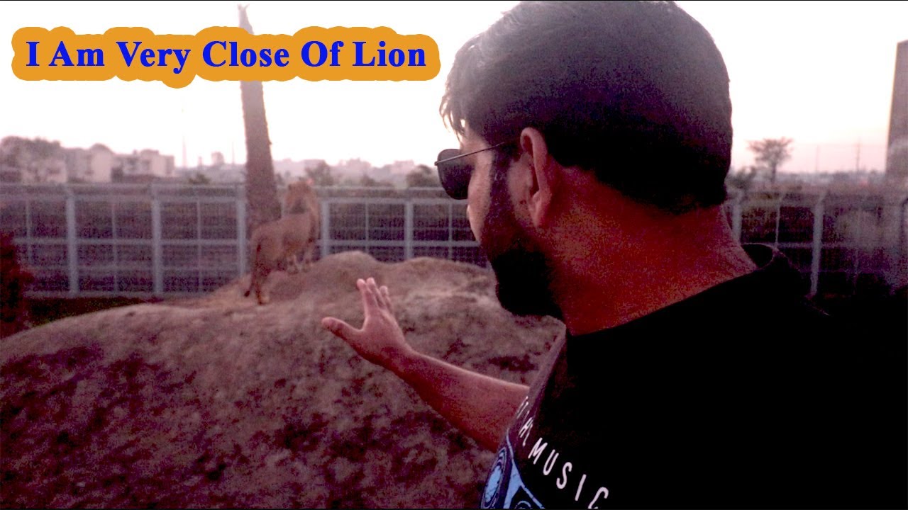 Sunday With Lions Pakistan Lions Lions in Lahore YouTube