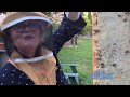 Bronx Bees: City Island Apiary