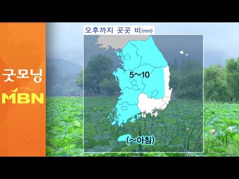 오후까지 곳곳 비…낮 기온 어제보다 올라 [굿모닝MBN]