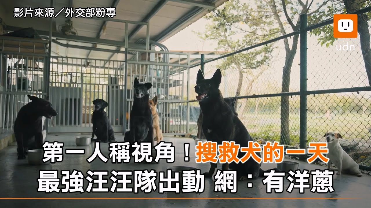 第一人稱視角！搜救犬的一天 最強汪汪隊出動 網：有洋蔥︱土耳其強震