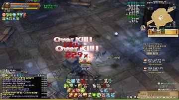 Tree Of Savior Game Play 20180611 00 54 47 533 Request Siauliai