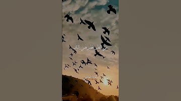 ما تيسر من سورة البقرة | تلاوة مؤثرة بصوت معاذ الخلطي 📖🌙#تلاوة_القرآن #تلاوات_مؤثرة #القرآن_الكريم