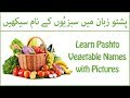 Lesson 13 Pashto Vegetable S Name With Pictures پشتو زبان میں سبزیوں کے نام سیکھیں 