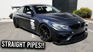 The HARDEST M4 GTS to drive on the street *Ultimate Track Setup*