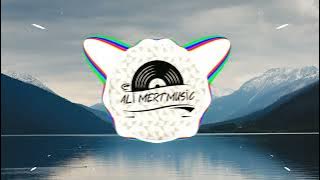 Tommee Profitt - In My Blood (Serhat Durmus Remix) feat. Fleurie (BASS BOOSTED)